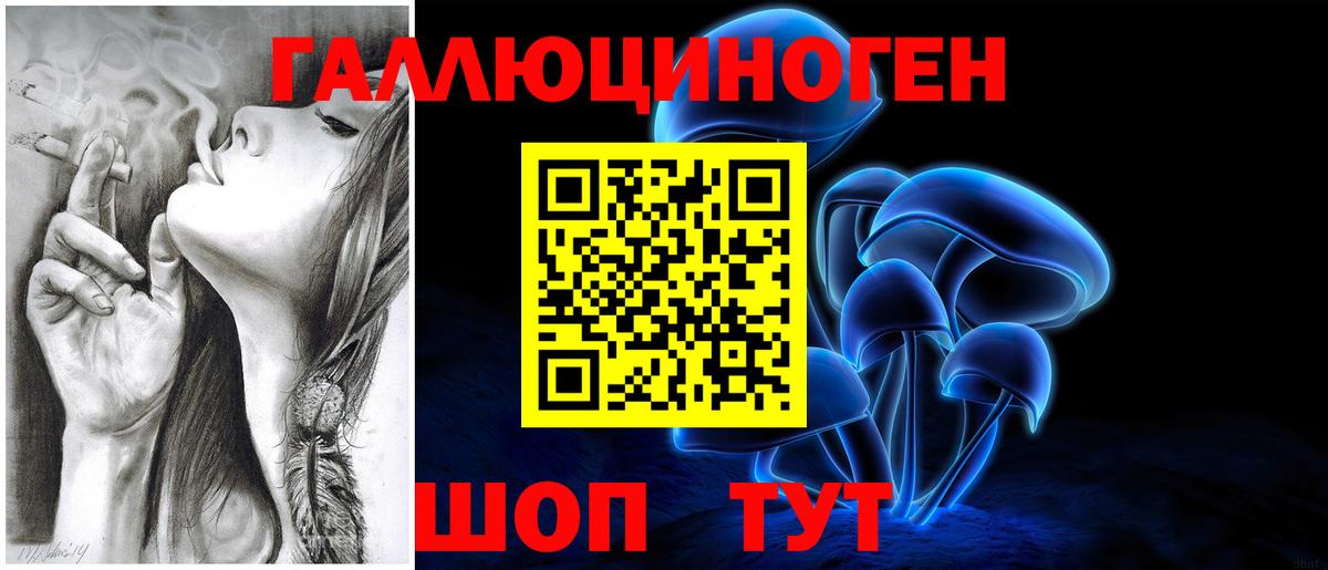Псилоцибиновые грибы GOLDEN TEACHER Артём