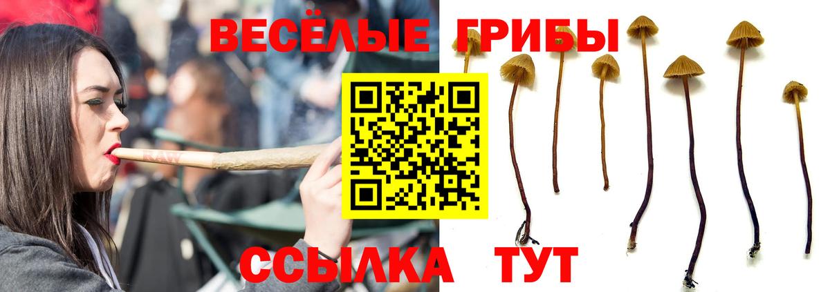 купить наркоту  Псилоцибиновые грибы мухоморы  Галлюциногенные грибы Magic Shrooms  Вход с VPN  Артём 